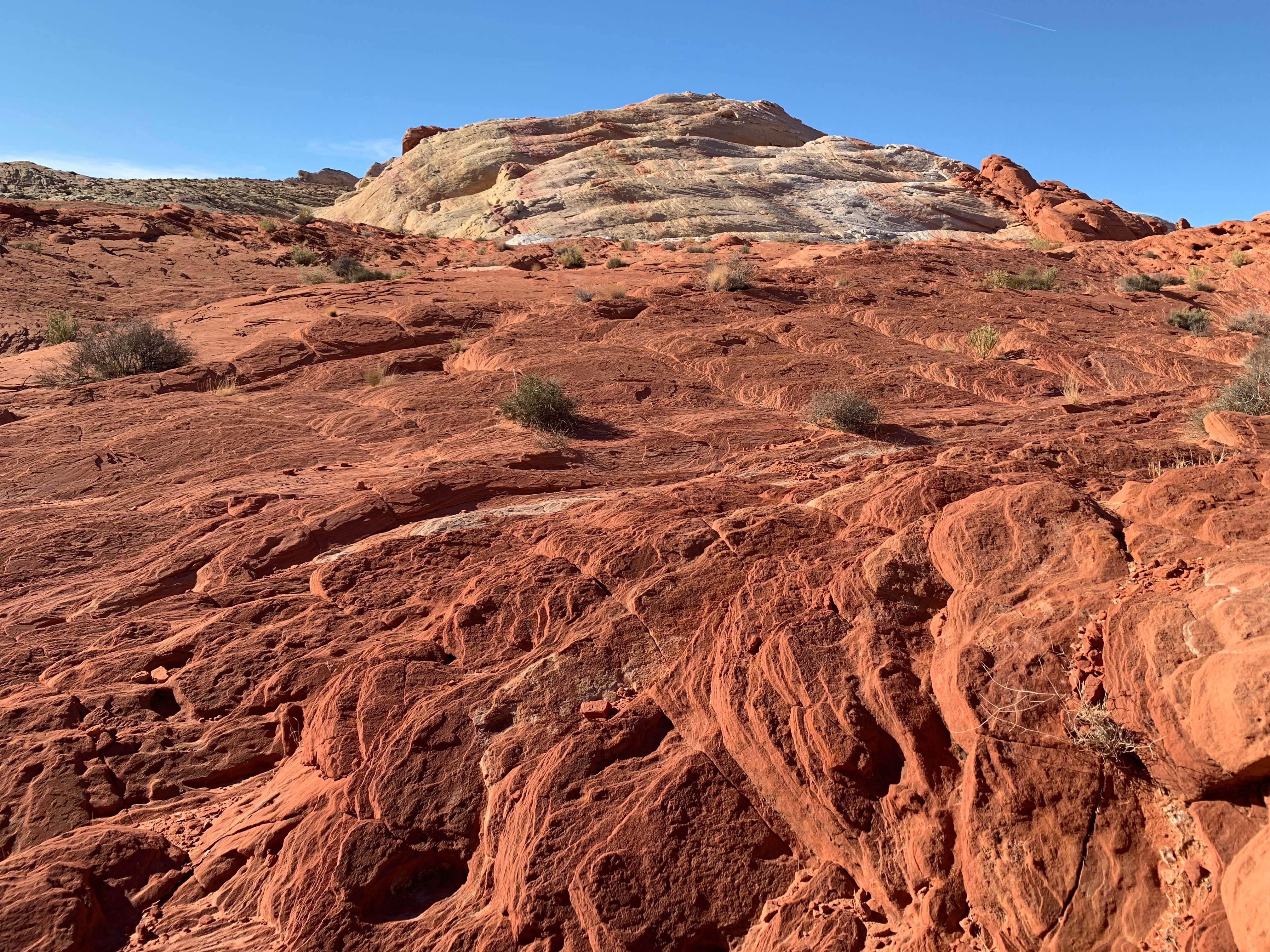 Nevada